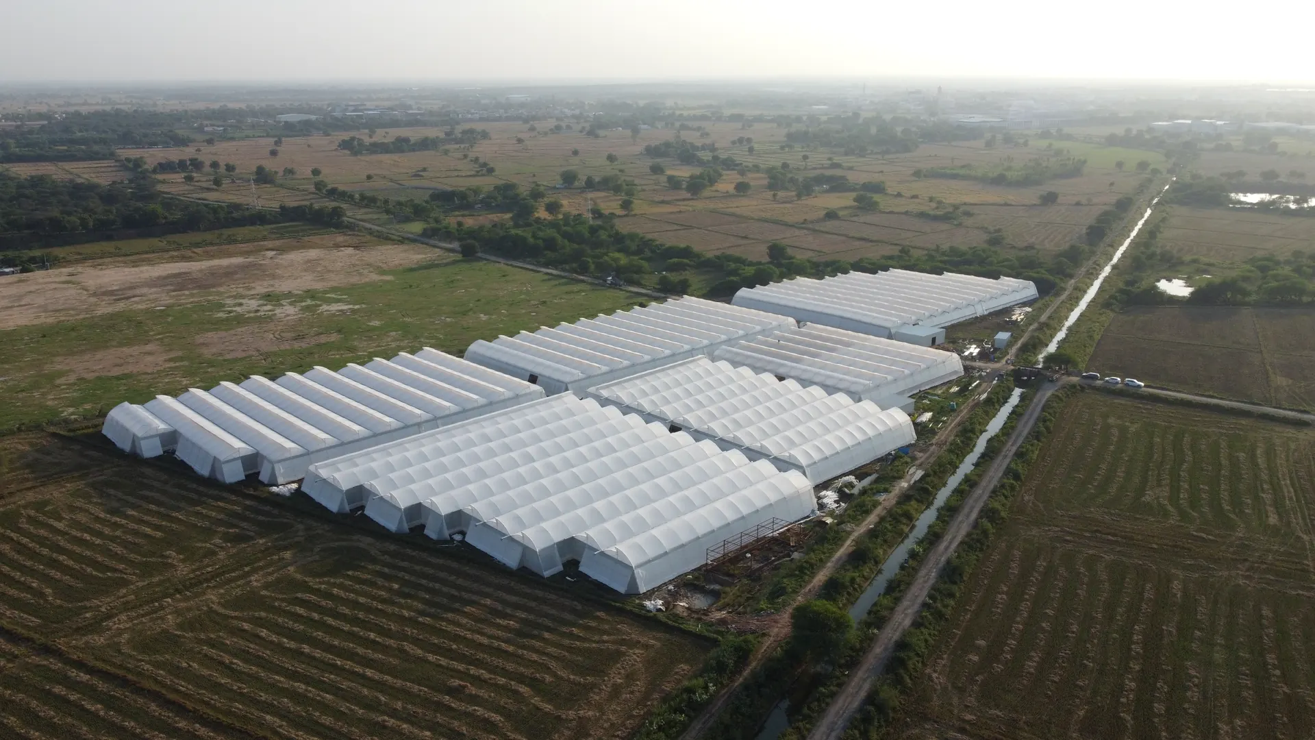 Aerial view of a naturally ventilated polyhouse farm